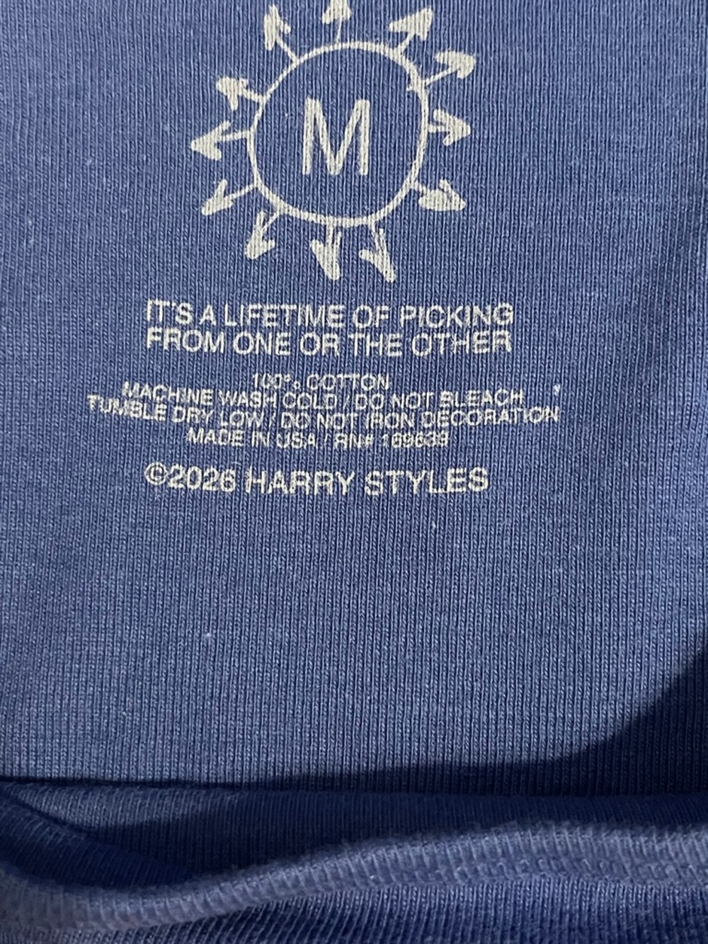 HARRY STYLES KISS ALL THE TIME. DISCO, OCCASIONALLY BABY TEE